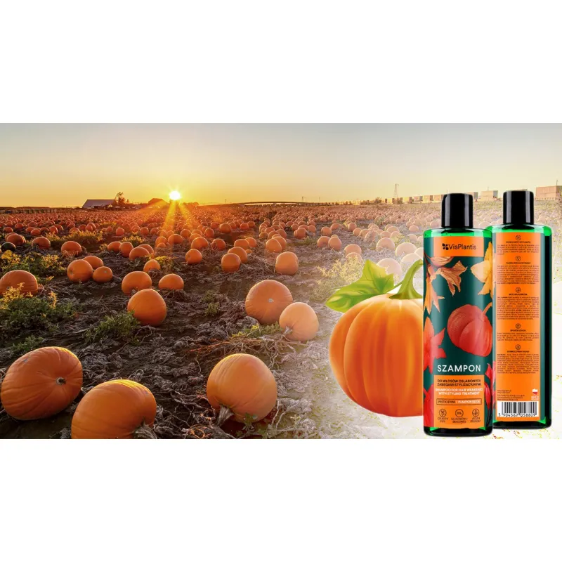 Vis Plantis shampoo for dry and damaged hair DYNIA - Laroxy.pl