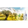 Vis Plantis cream/mask for dry hands with urea - Laroxy