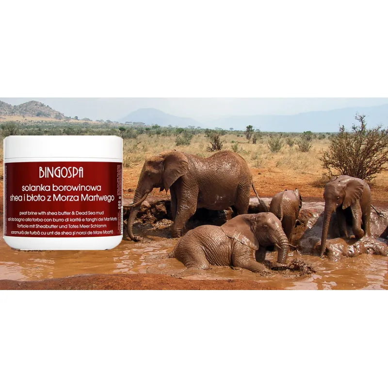BingoSpa mud brine with Dead Sea mud ❤️ Laroxy