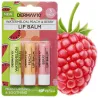 Lip balm - protective lipstick 3 pieces KIT ❤️ Laroxy.pl