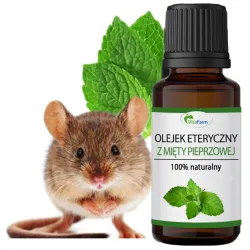 Olejek miętowy na myszy gryzonie Bezpieczny dla Dzieci ❤️ Laroxy