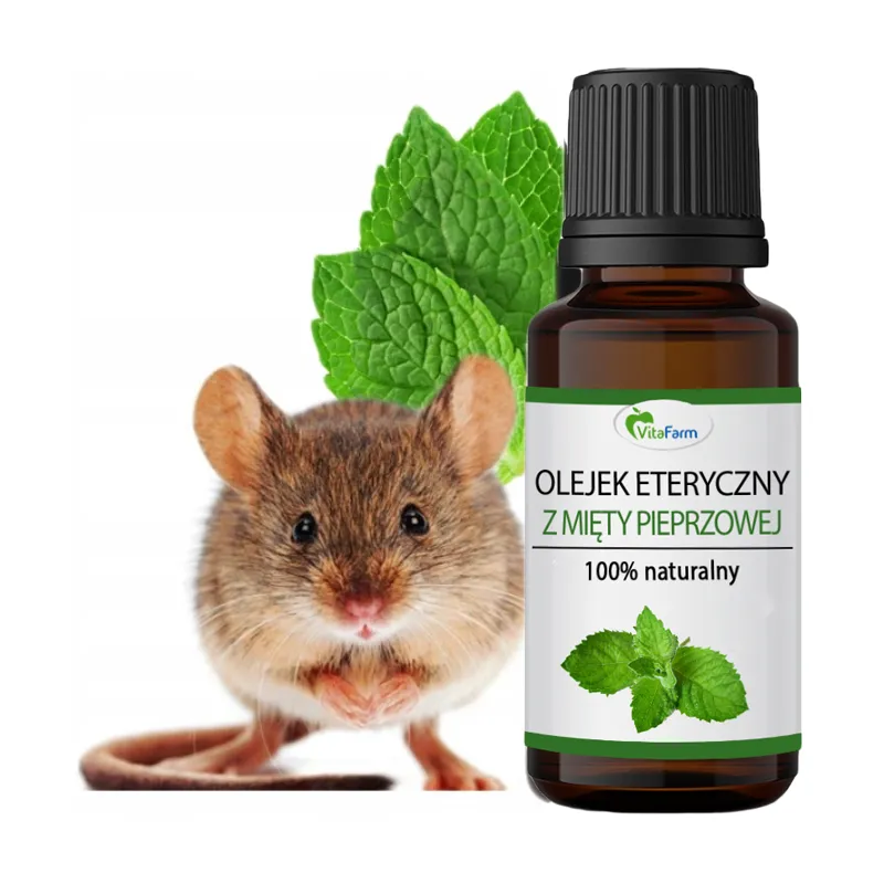 Olejek miętowy na myszy gryzonie Bezpieczny dla Dzieci ❤️ Laroxy