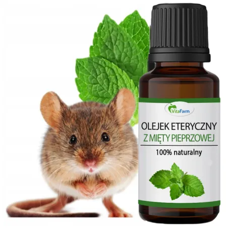 Mint oil for mice rodents Safe for Children ❤️ Laroxy
