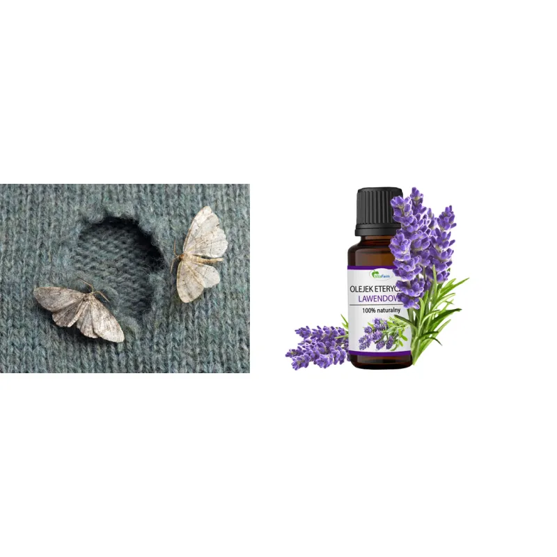 Lavender oil for mosquitoes moths SAFE FOR CHILDREN ❤️ store Laroxy.pl