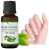 Tea Tree essential oil natural tea tree oil ❤️ Laroxy