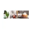 Eucalyptus Fragrance Oil 100% natural ❤️ Laroxy.pl
