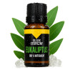 Eucalyptus Fragrance Oil 100% natural ❤️ Laroxy.pl