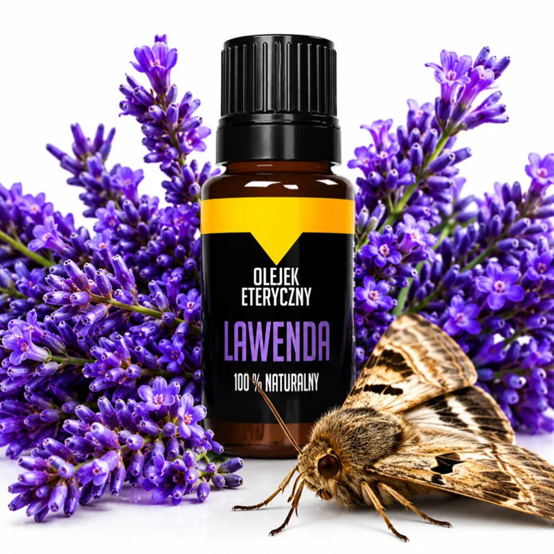 Lavender oil for moths - lavender at mole❤️ store Laroxy.pl