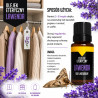 Lavender oil for moths - lavender at mole❤️ store Laroxy.pl