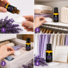 Lavender oil for moths - lavender at mole❤️ store Laroxy.pl