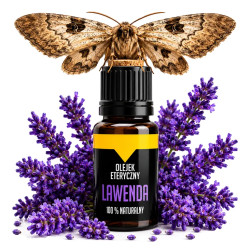Lavender oil for moths - lavender at mole❤️ store Laroxy.pl